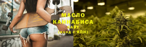 ECSTASY Гусь-Хрустальный