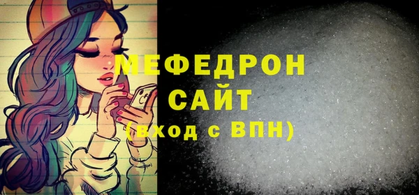 индика Гусев