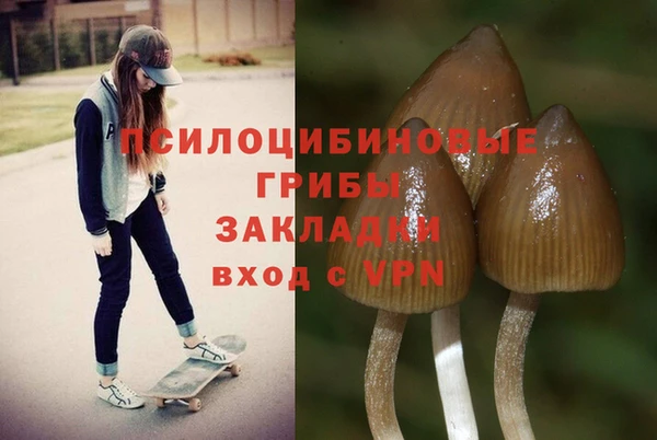 крисы Балахна