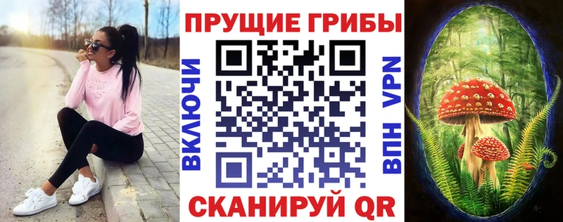 ОМГ ОМГ онион  купить наркоту  Гулькевичи  Псилоцибиновые грибы MAGIC MUSHROOMS 